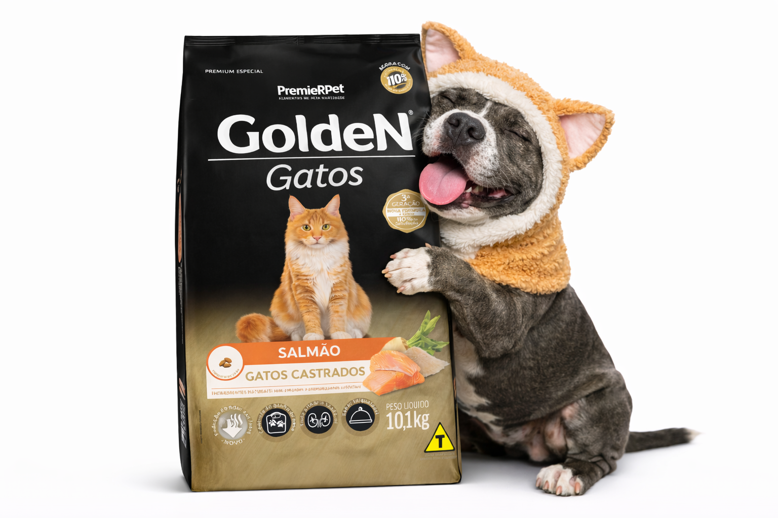 GoldeN Gatos 10,1kg Salmão